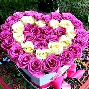 🌈💞TRADE💞🌈@jackie💞